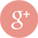 google plus icon
