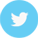 twitter icon